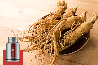 TestoPrime Ingredients Panax Ginseng
