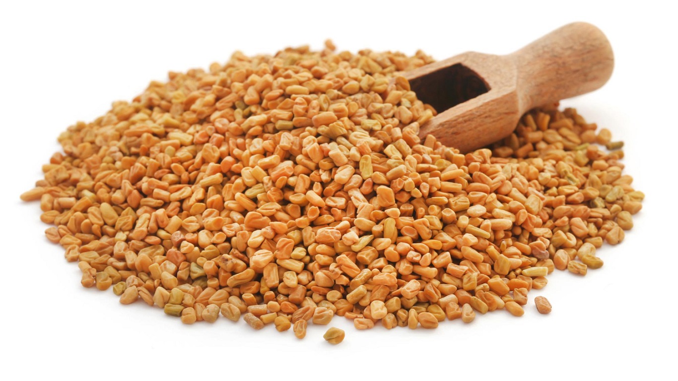 Does Fenugreek Boost Testosterone Levels? Know Science!